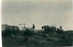 Et fantastisk høstbillede fra Bidstrup anno 1932 
TAK at disse billeder endelig dukkede op, de vidner om en svunden tid, hvor kampen om det daglige brød var hård.